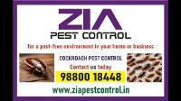 Zia Pest Control | Expert Cockroach Extermination | Top Local Pest Control Services